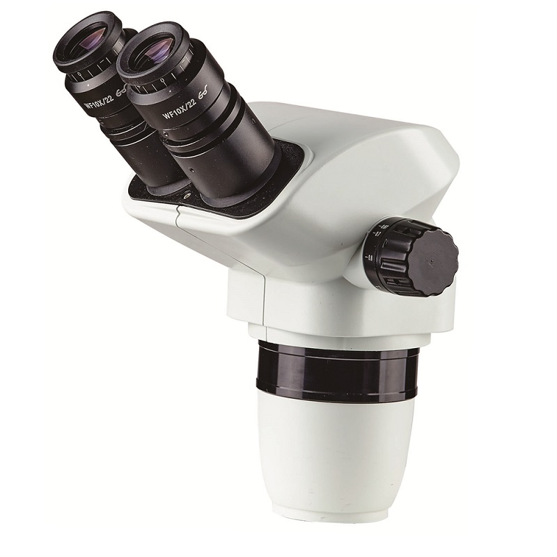 digital microscope supplier