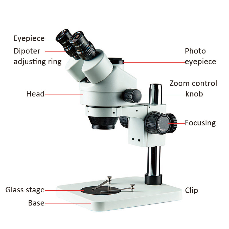 microscope manufacturer