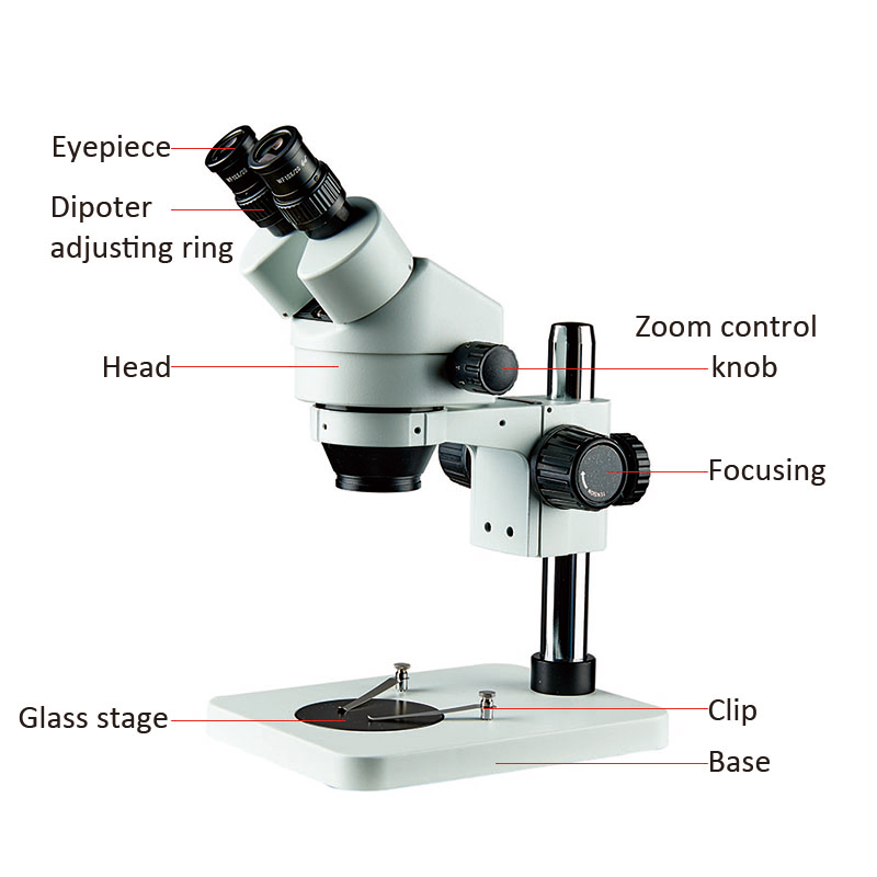 digital microscope factory